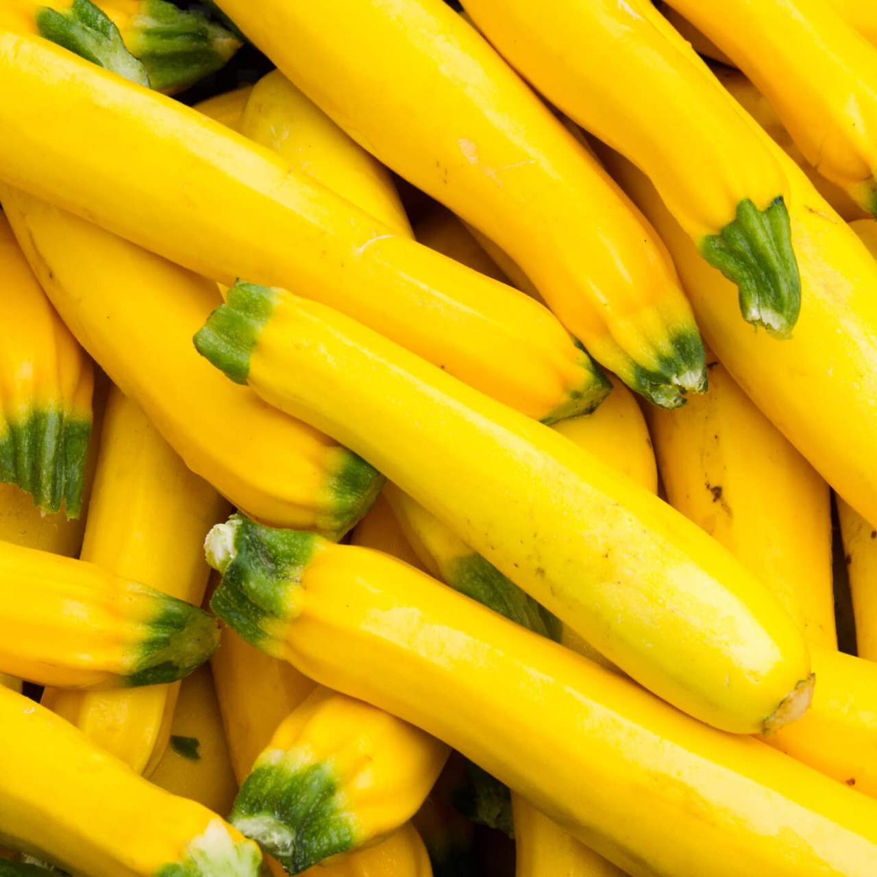 Yellow Squash