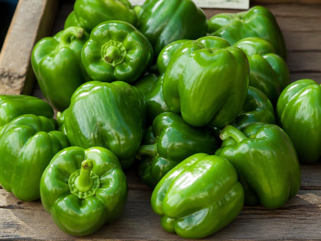 Pepper Bell — Green Med Half CS (.5CS BX)