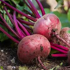 Red Beets