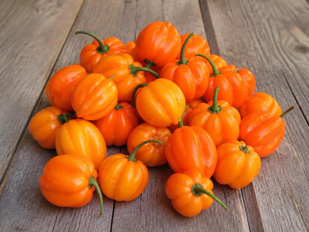 Pepper — Habanero (8LB BX)