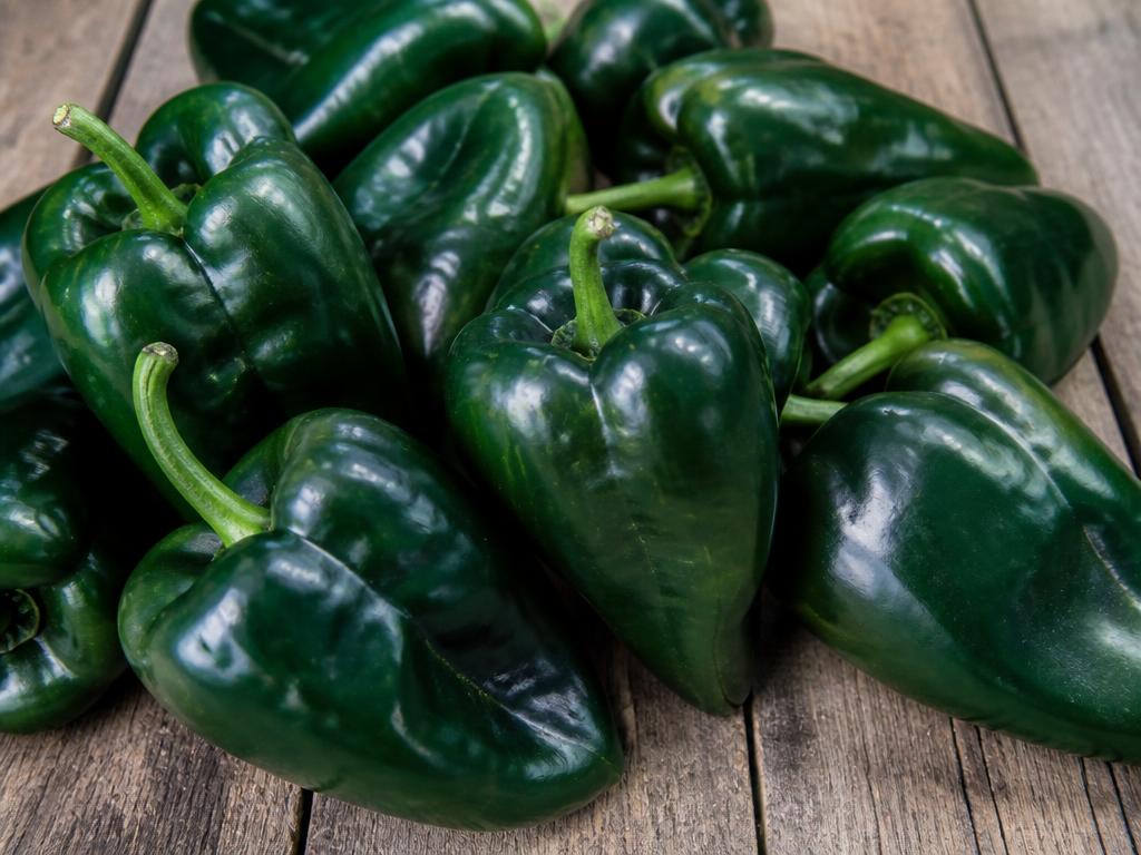 Pepper — Poblano 1 1/9BU (16LB BX)